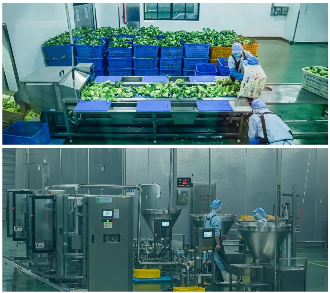 微信图片_20260130155611 微信图片_20260130155611